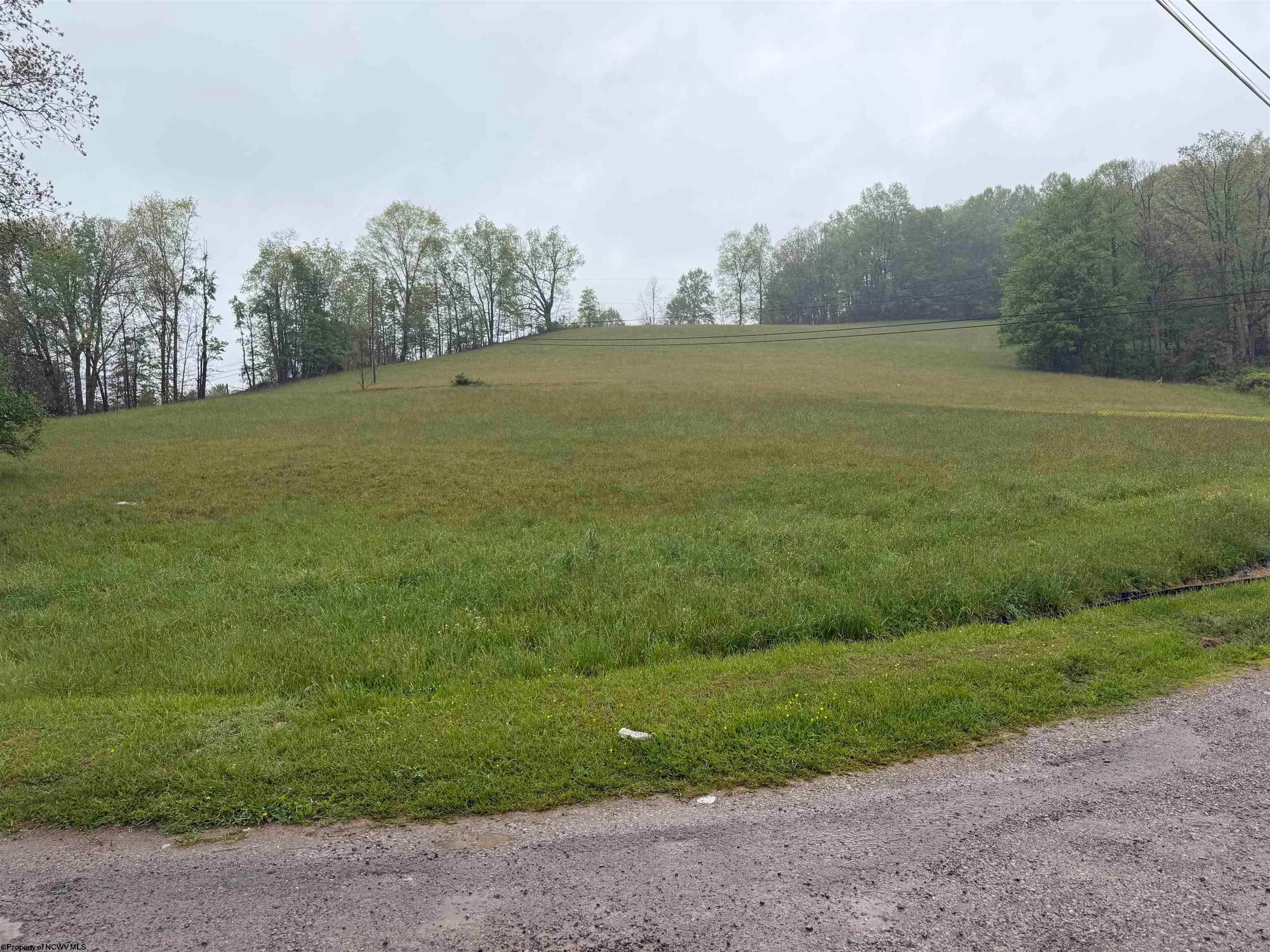 Tbd Old Elkins Road Buckhannon, WV 26201 - Photo 4 of 8 Gallery Image 4