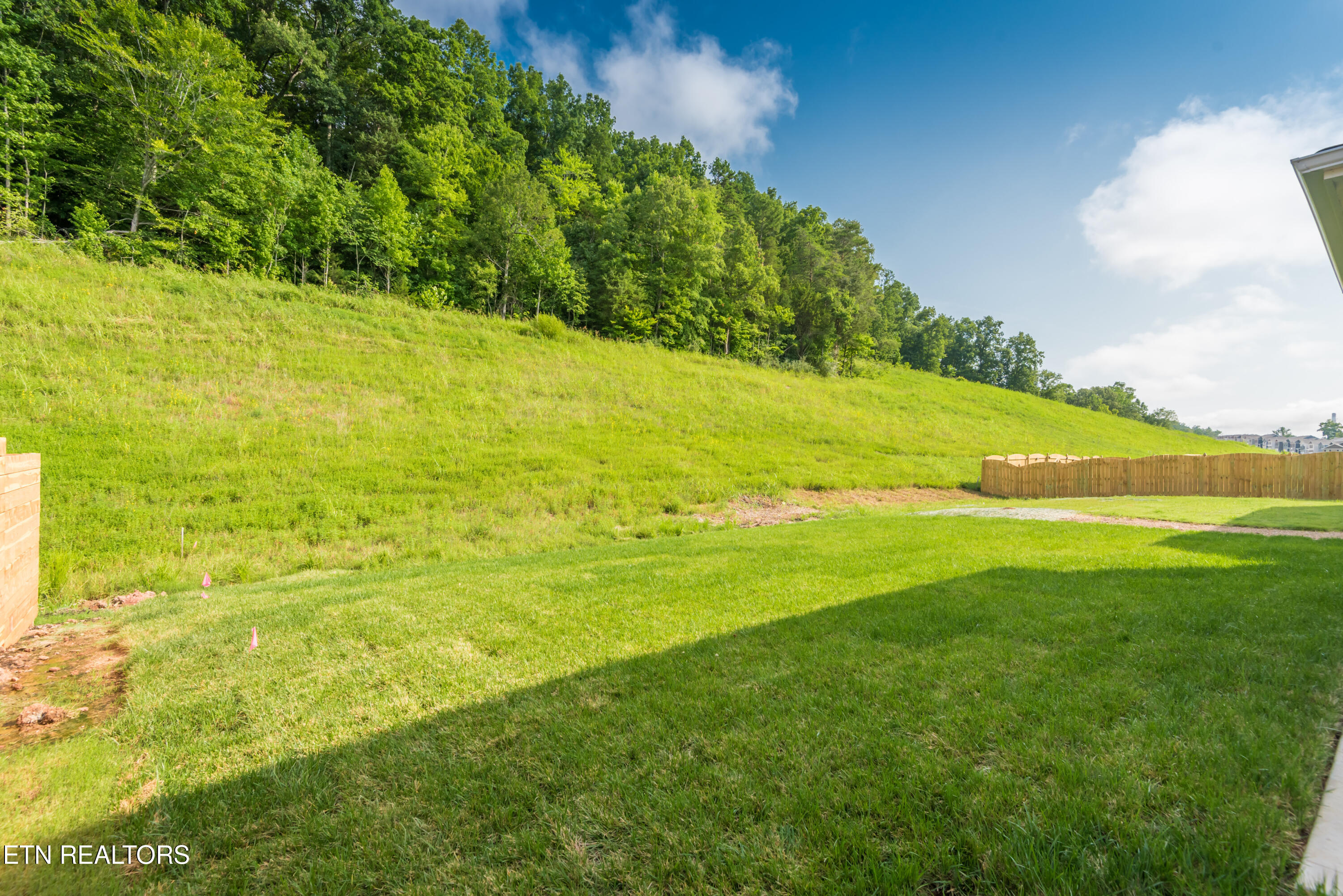 126 Ibis Loop Oak Ridge, TN 37830 - Photo 43 of 47 126IbisLoop-38