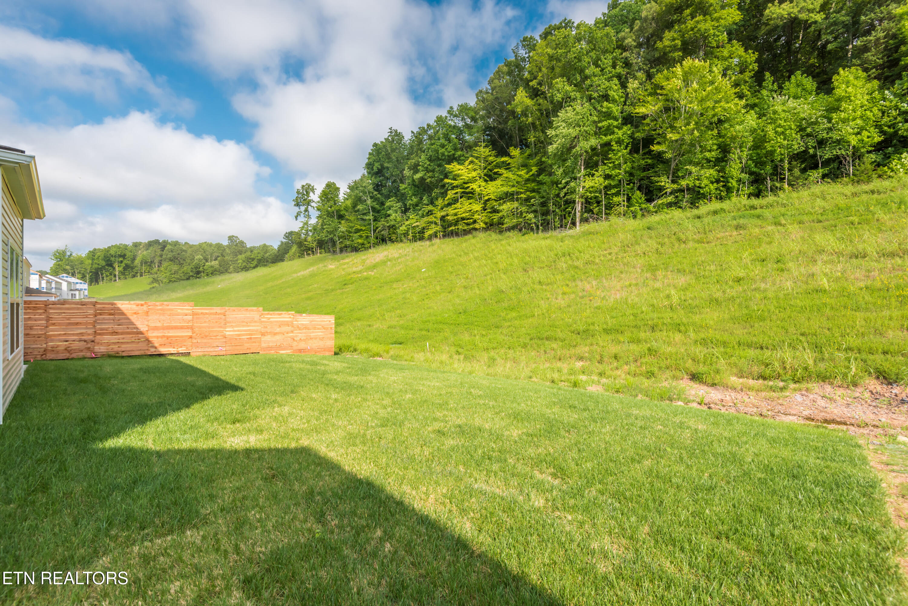 126 Ibis Loop Oak Ridge, TN 37830 - Photo 44 of 47 126IbisLoop-39