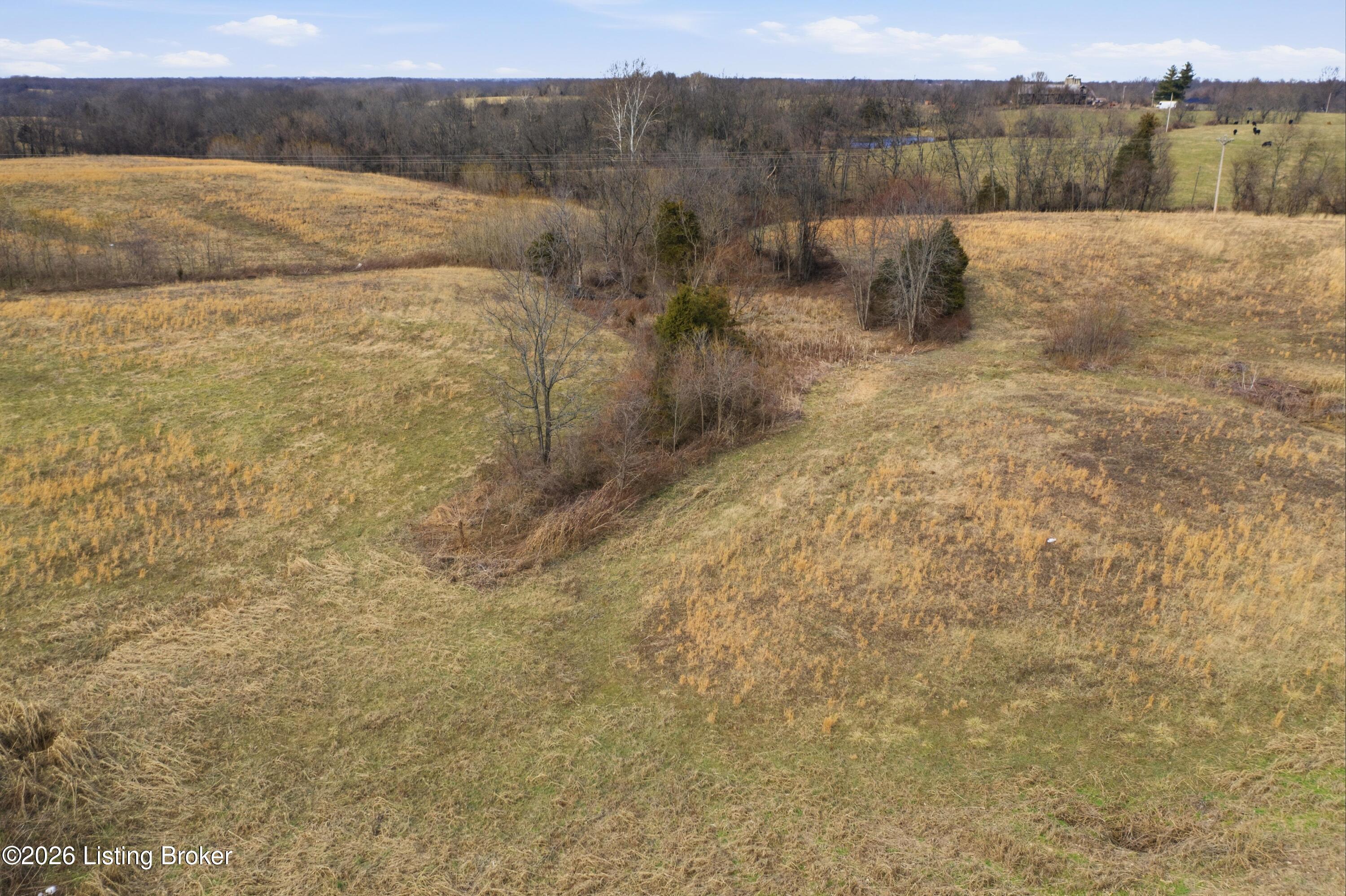 7200 Bagdad Road Bagdad, KY 40003 - Photo 24 of 30 Bagdad Rd - Aerials (23 of 30)