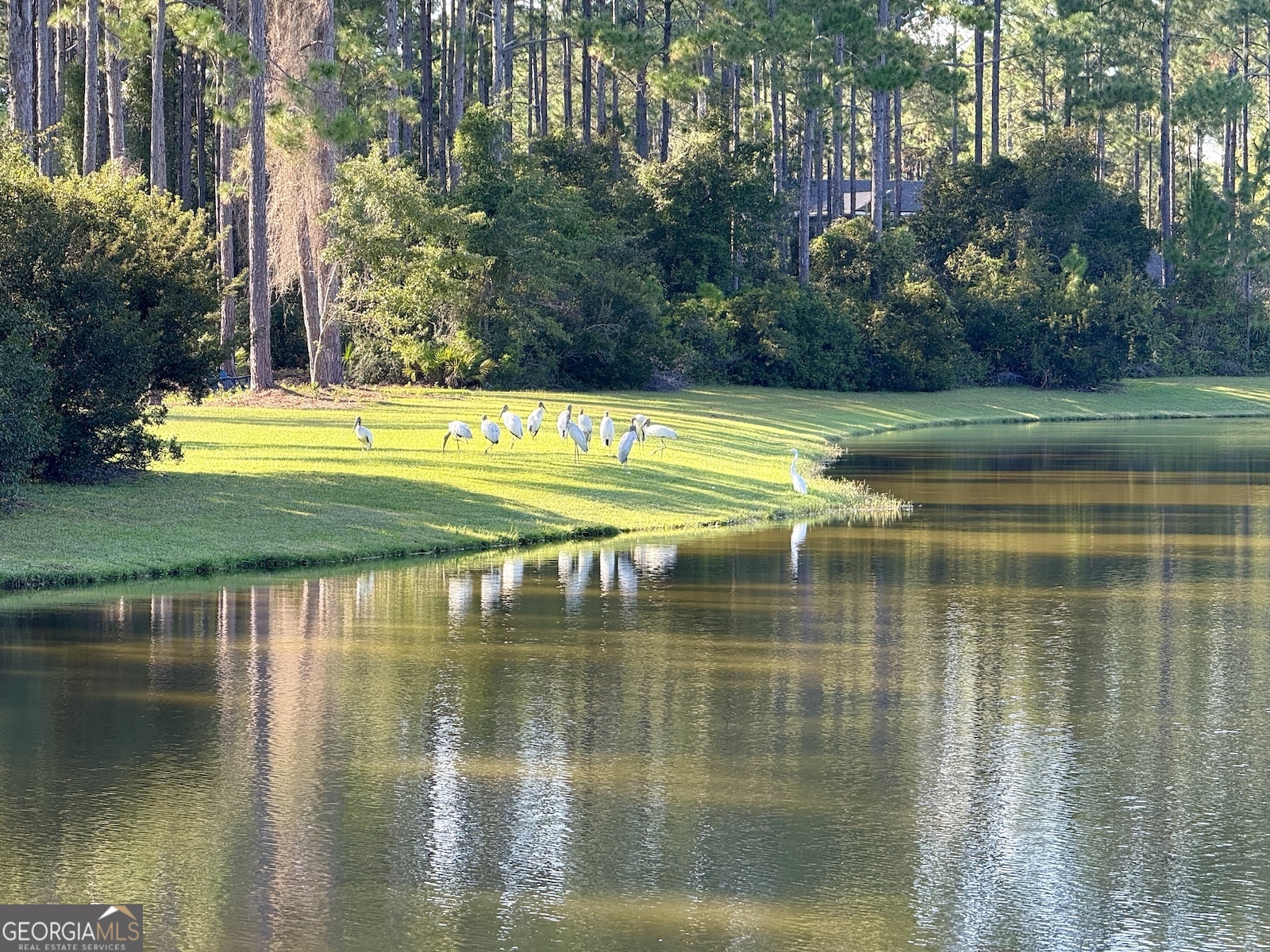 209 Placid Road St. Marys, GA 31558 - Photo 2 of 16