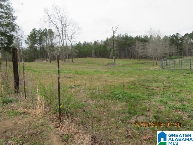 455 Francis Mill Road Ohatchee, AL 36271 - Photo 45 of 49