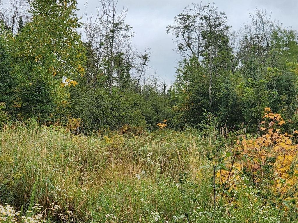 W12289 County Rd J Deerbrook, WI 54424 - Photo 19 of 21