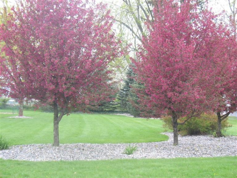906 Pine Street Three Rivers, MI 49093 - Photo 20 of 22 Additional Photo