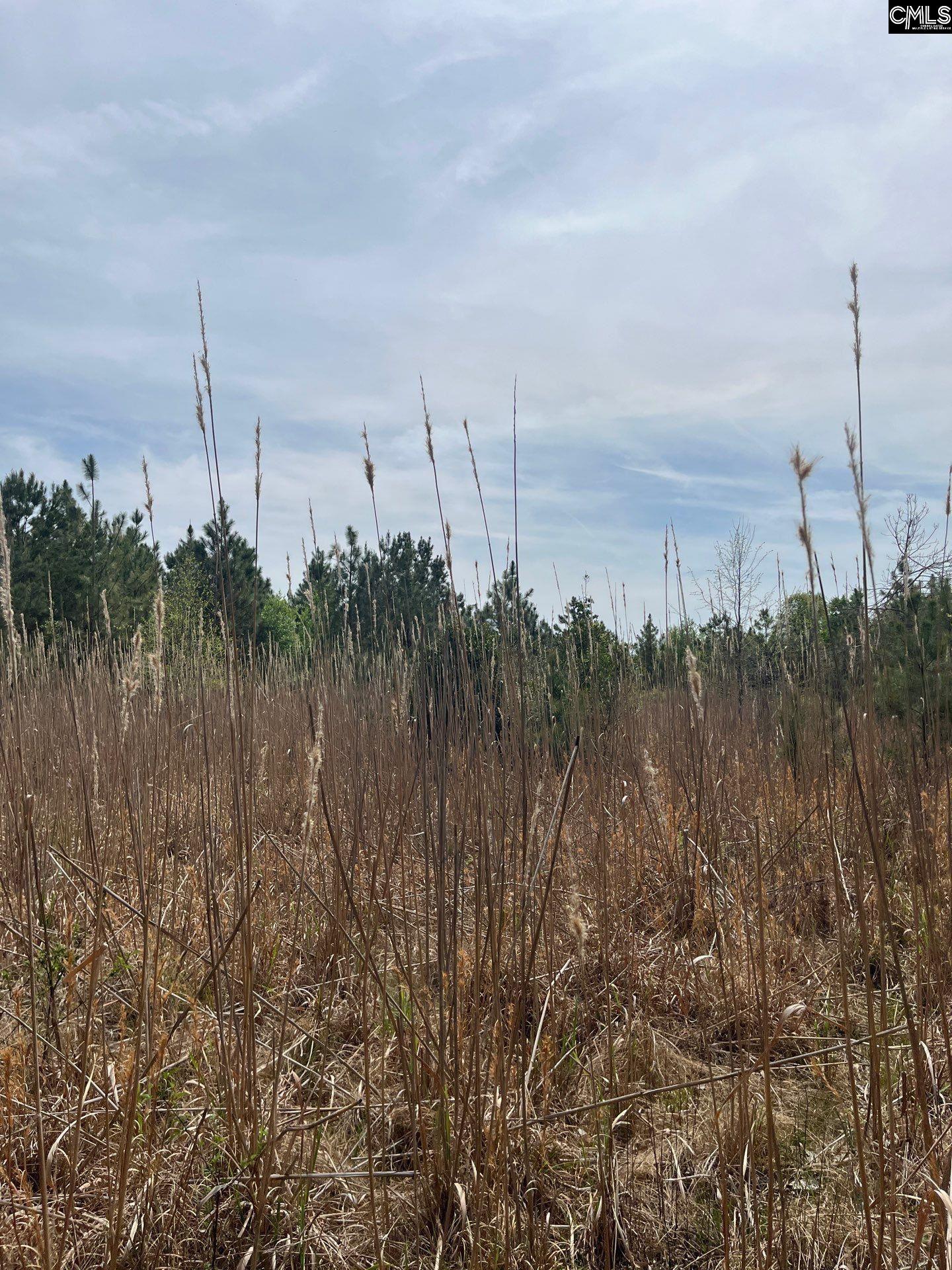 4 Beaver Dam Road Cassatt, SC 29032 - Photo 2 of 5