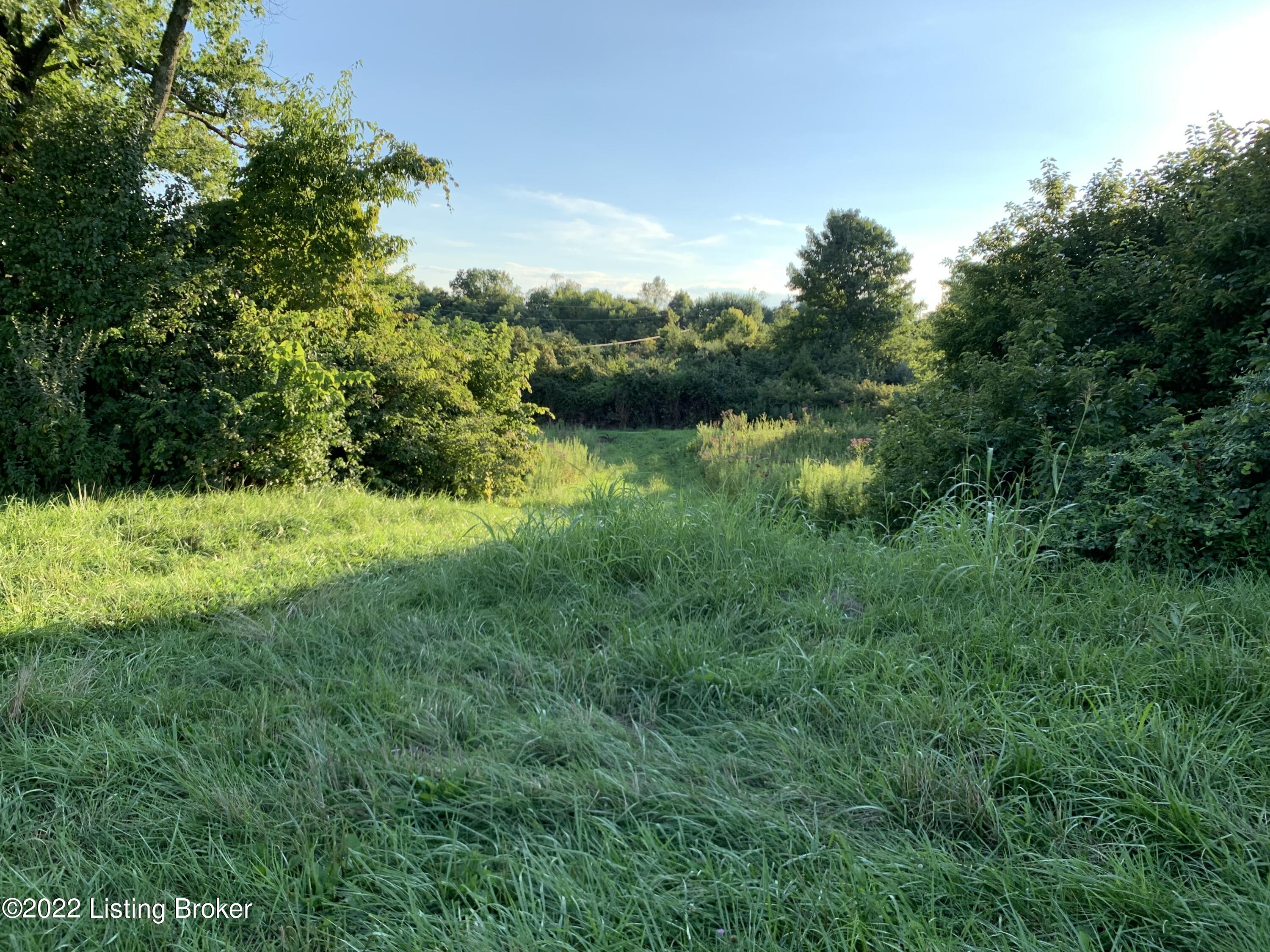 300 Wooded Ridge Road Sulphur, KY 40070 - Photo 26 of 26 IMG_3787 (1)