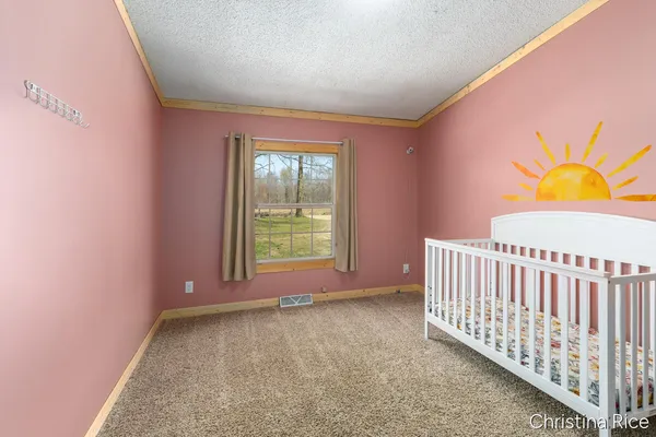 $285,000 | 1397 Youngs Road, Orleans, MI 48865