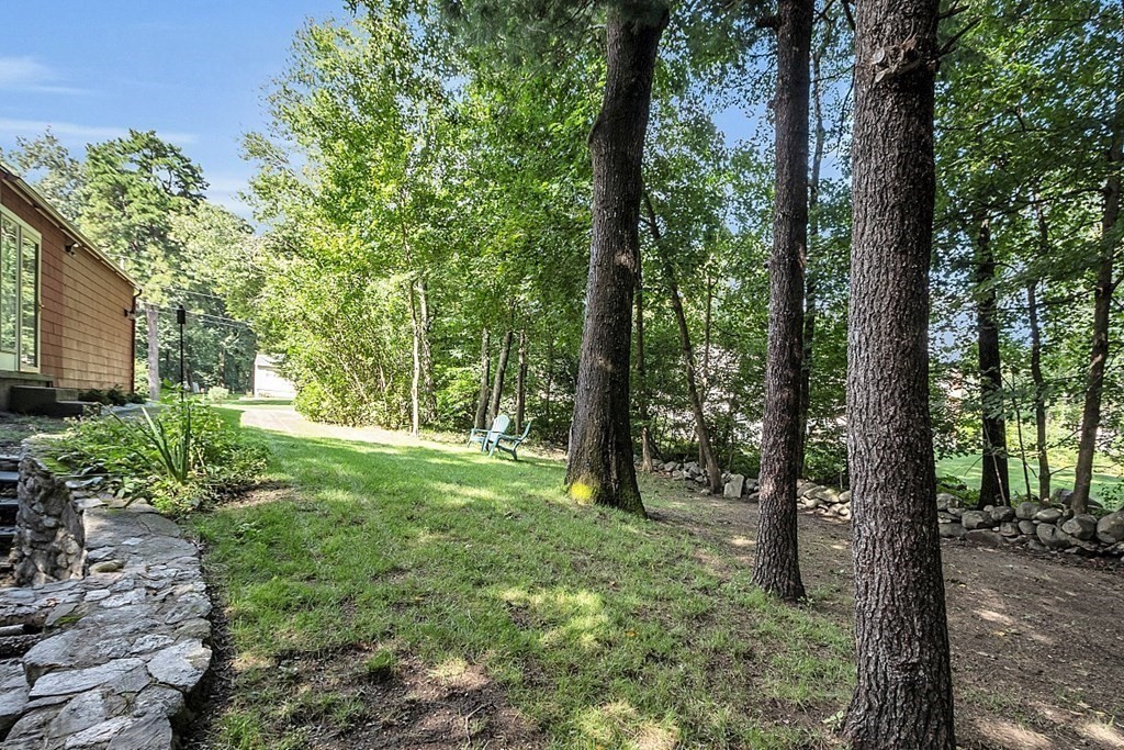 24 Whippletree Road Chelmsford, MA 01824 - Photo 30 of 34 a view of forest