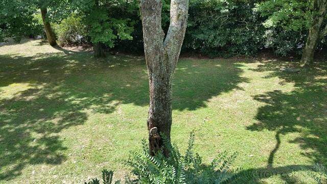 152 Overlook Hill Boone, NC 28607 - Photo 18 of 24 Gallery Image 18