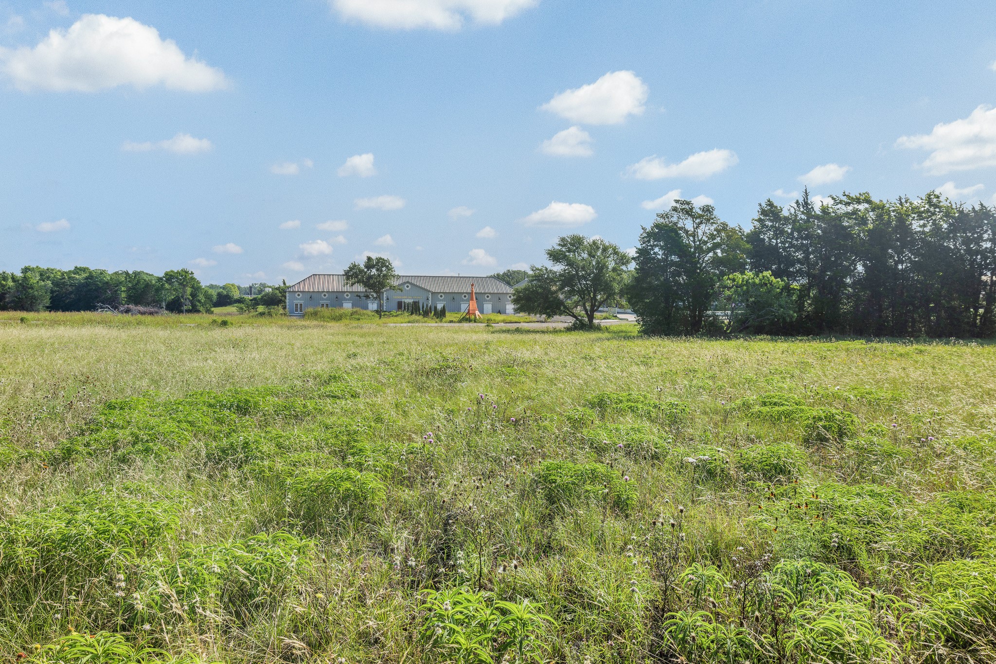 109 Compound Lane Round Top, TX 78954 - Photo 11 of 20 a view of a big yard and mountain view