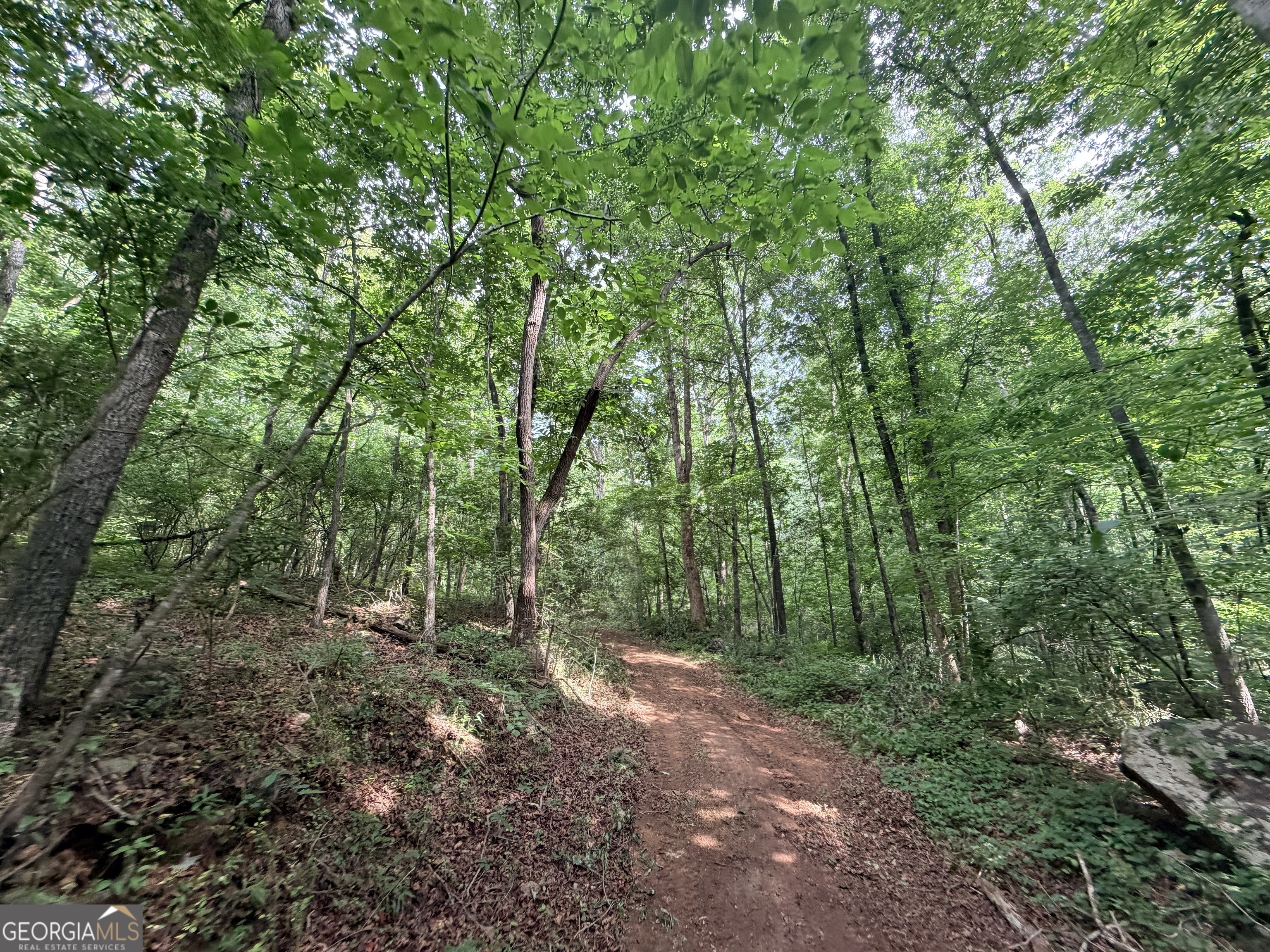 1590 James Adams Road Danielsville, GA 30633 - Photo 83 of 98