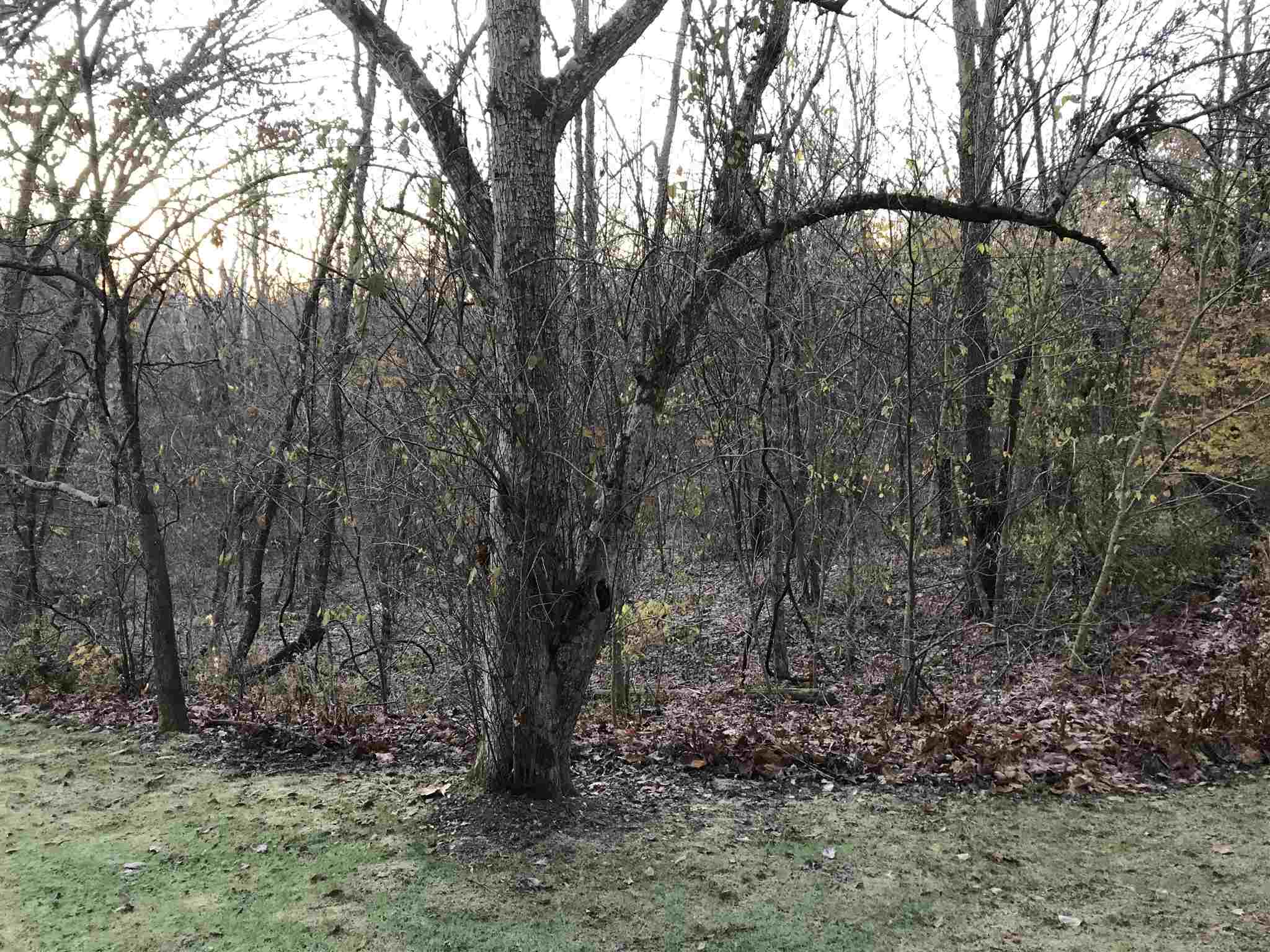 172 Wayne Beasley Road Huron, IN 47437 - Photo 9 of 10