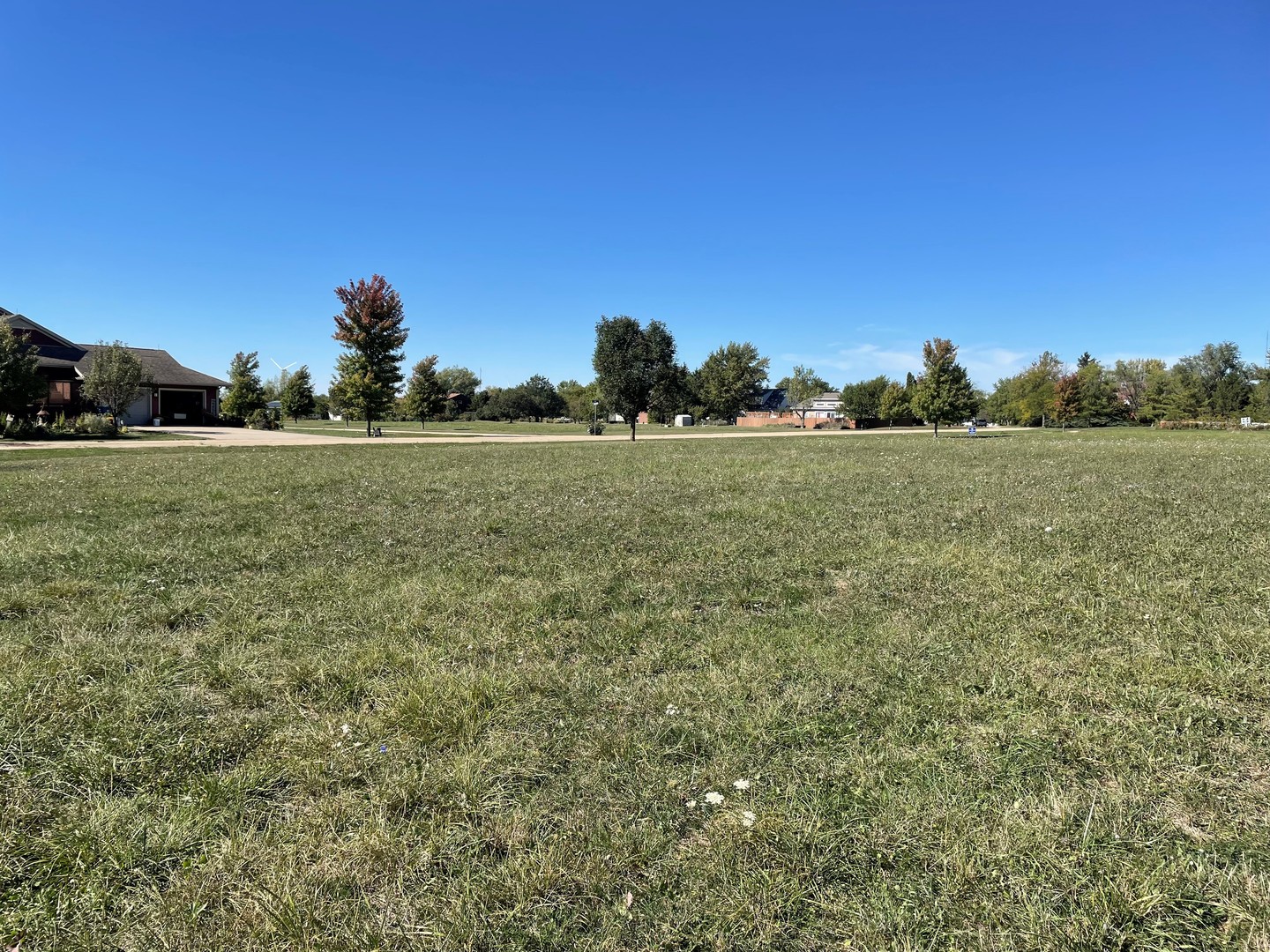 155 Sun Street Cabery, IL 60919 - Photo 3 of 6