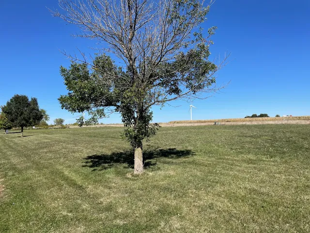 $16,000 | 155 Sun Street, Cabery, IL 60919