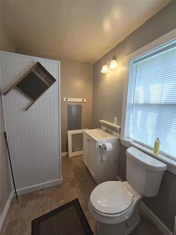 a view of a big yard with a large tree