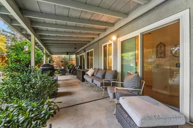 a living room with patio furniture and a potted plant