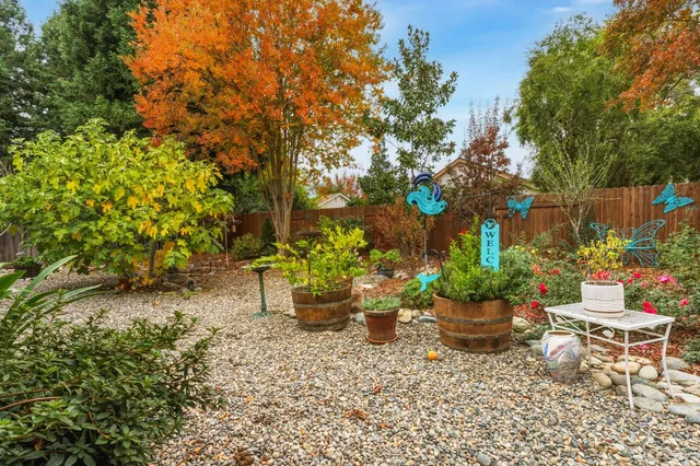a view of a backyard with plants and chairs