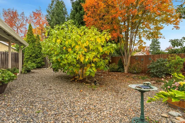 a view of a yard with plants and trees