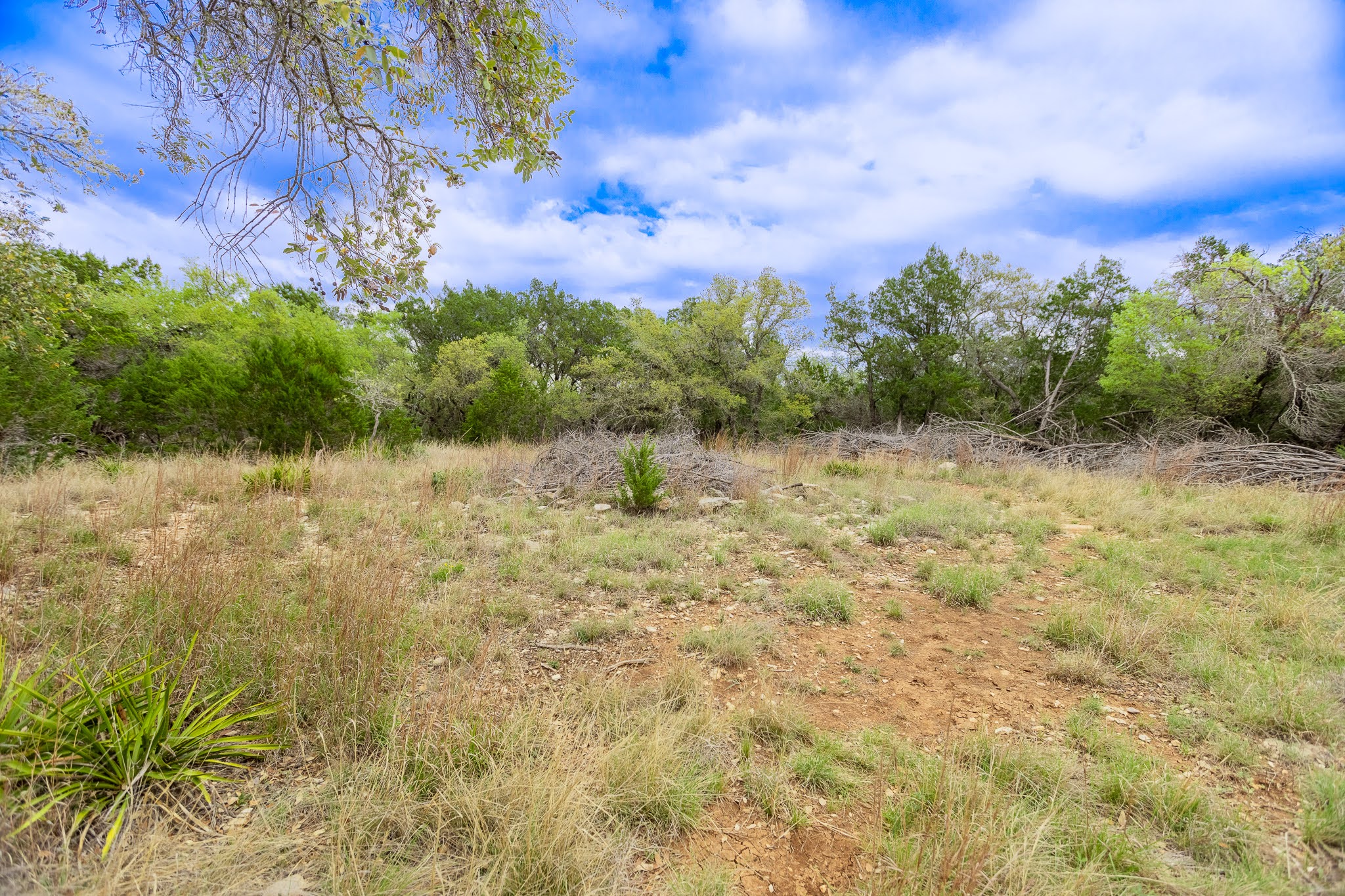 1925 Cripple Creek Stage Road Dripping Springs, TX 78620 - Photo 24 of 38