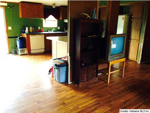 2615 6 Foot Road Ohatchee, AL 36271 - Photo 6 of 22