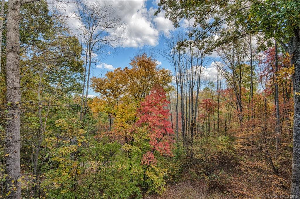 555 Jarrett Hills Road Sylva, NC 28779 - Photo 19 of 23 Gallery Image 19