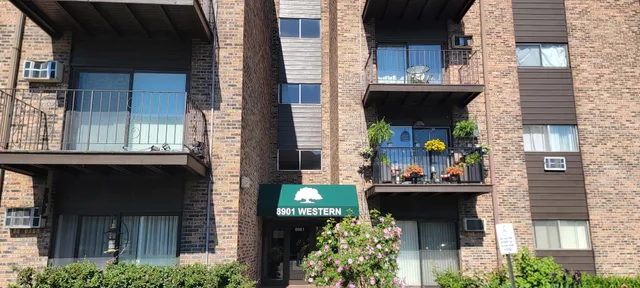 a front view of a house with plants