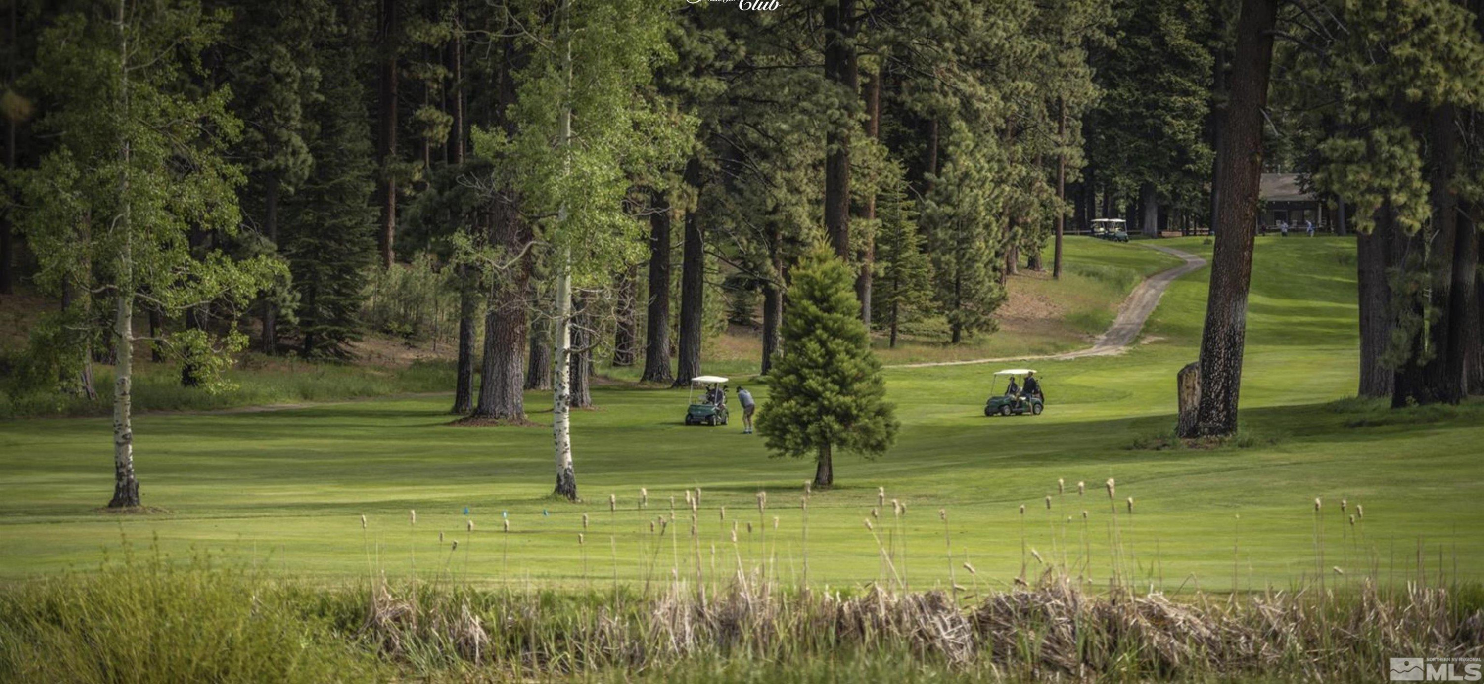 2147 The Back Road Glenbrook, NV 89413 - Photo 37 of 40 a view of a park