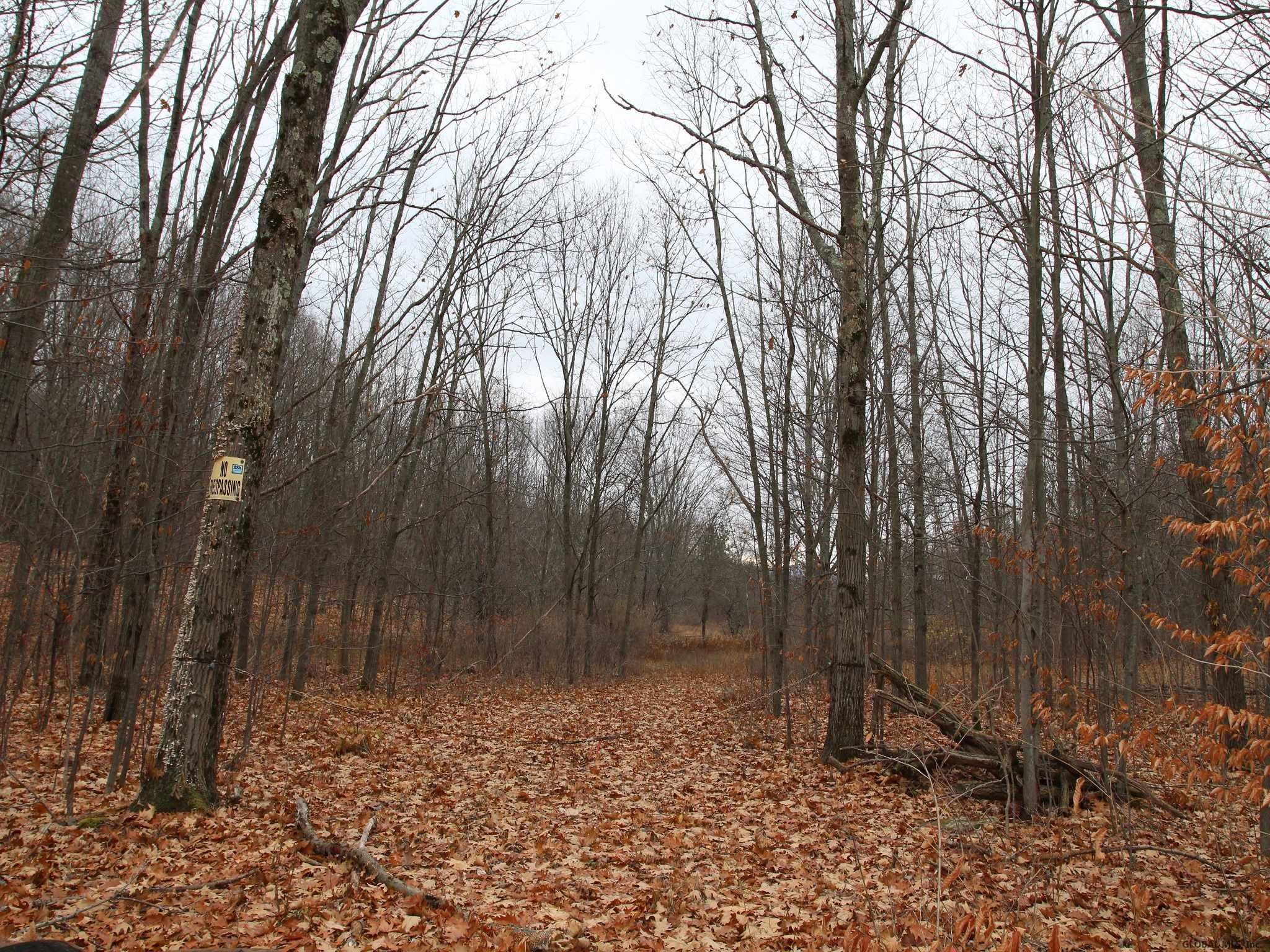 97 Slade Hill Road Westerlo, NY 12193 - Photo 8 of 17 Photo 8
