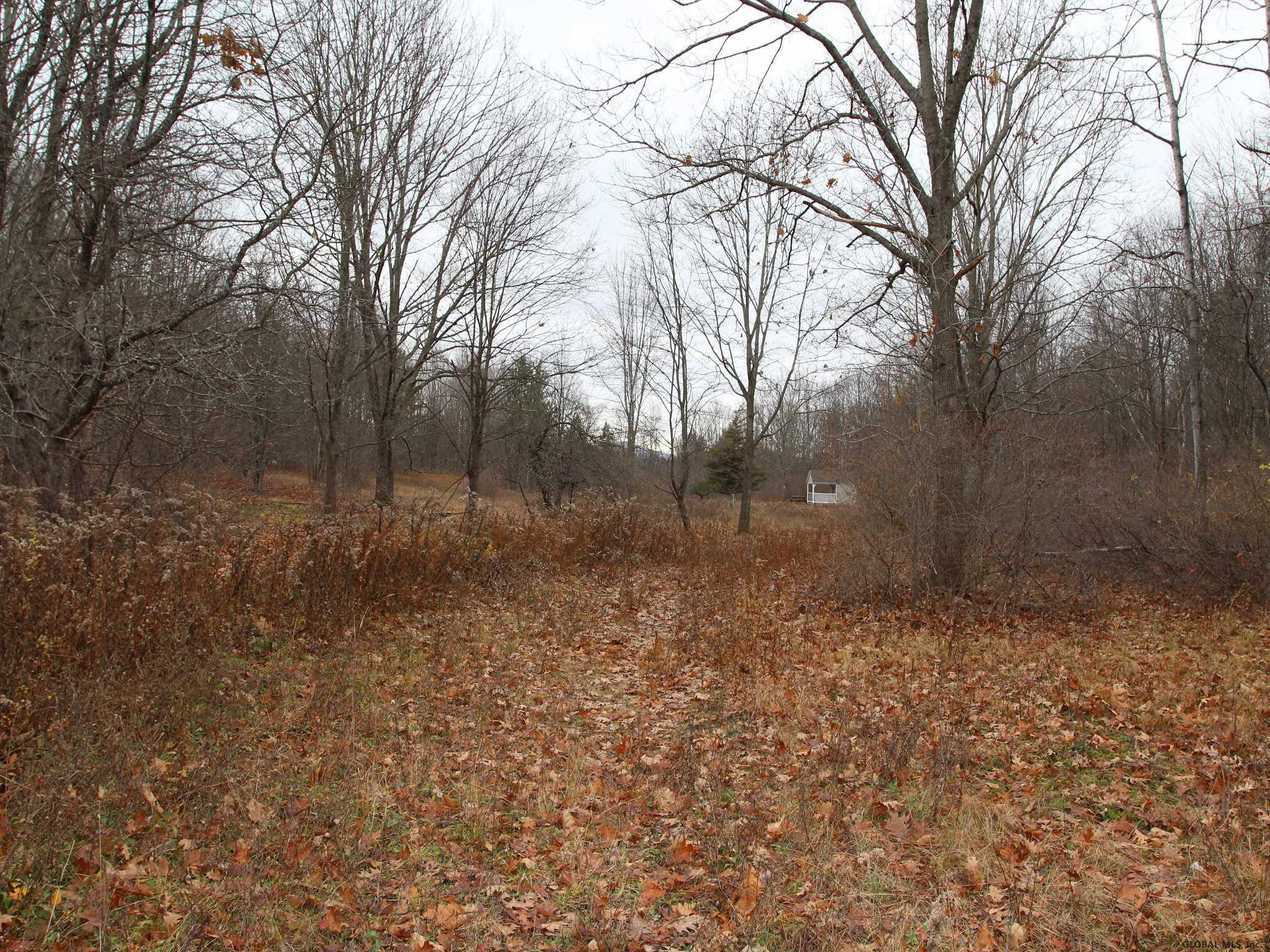 97 Slade Hill Road Westerlo, NY 12193 - Photo 9 of 17 Photo 9