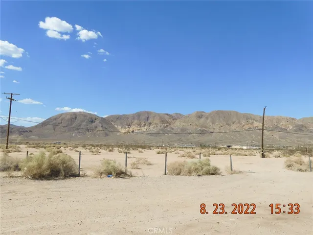 a view of a dry yard with a tree