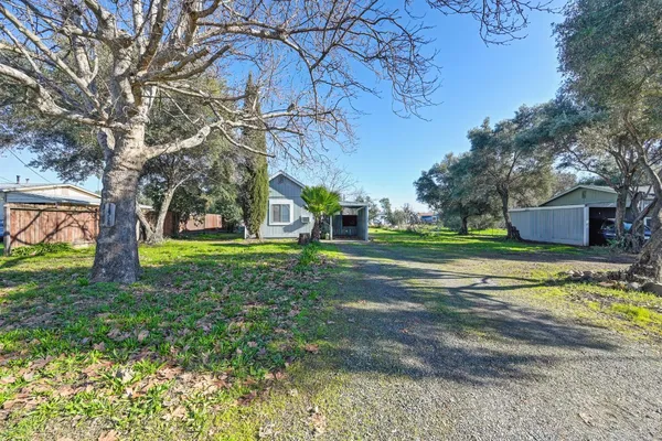 a view of yard with grass & street