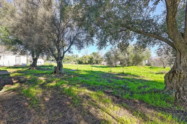 a view of a house with a big yard and palm trees