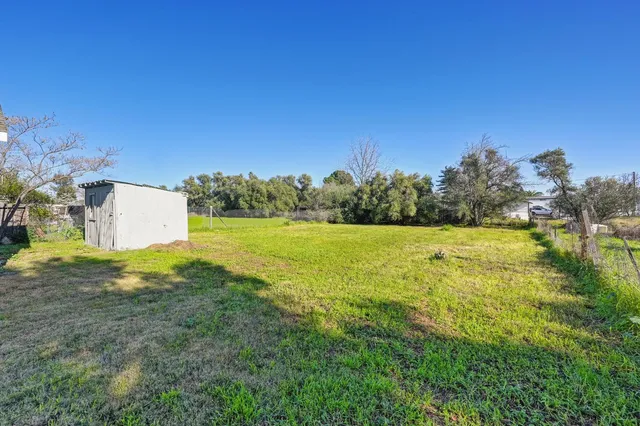 a view of a field with plants and trees