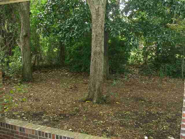 609 Palm Street Georgetown, SC 29440 - Photo 14 of 15 Gallery Image 14