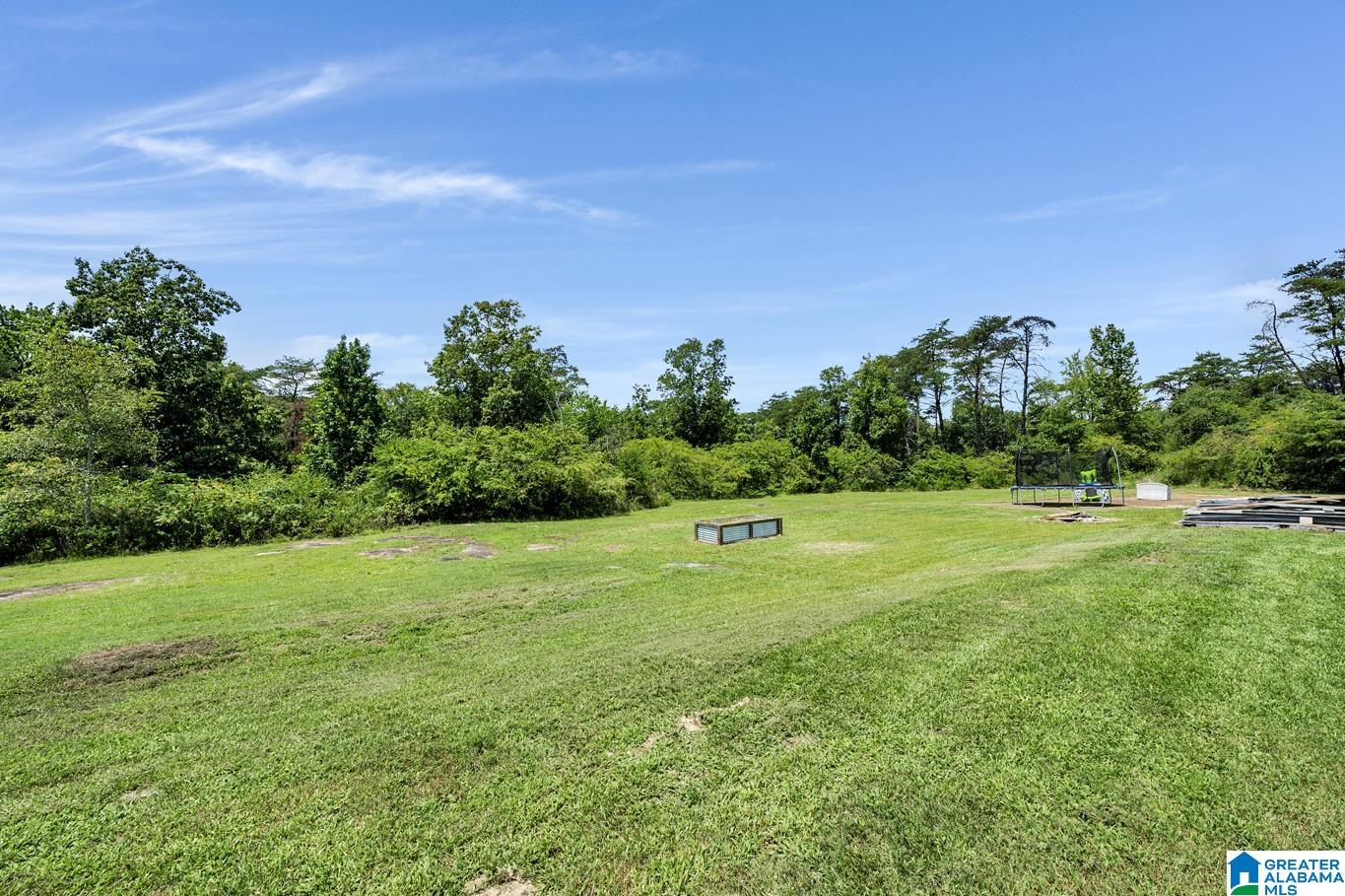 2101 Cliff Springs Road Oneonta, AL 35121 - Photo 28 of 42