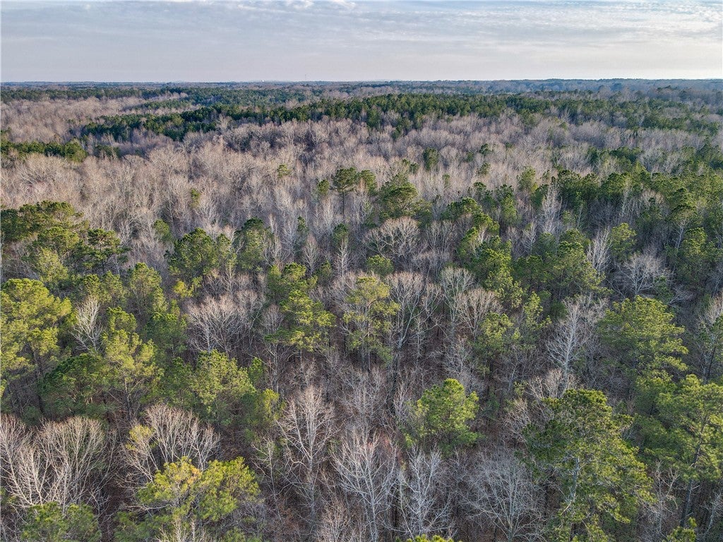 0 Judge Brown Road Valley, AL 36854 - Photo 2 of 11 Gallery Image 2
