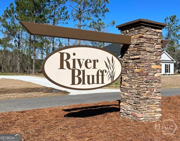 672 Belfast Loop Ellabell, GA 31308 - Photo 3 of 3