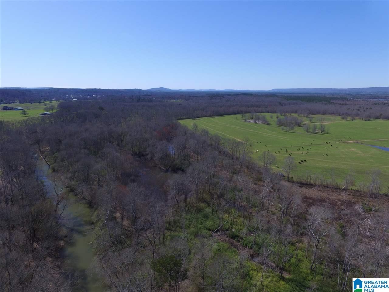 0 Double Bridge Road, Unit 286 Ashville, AL 35953 - Photo 9 of 34