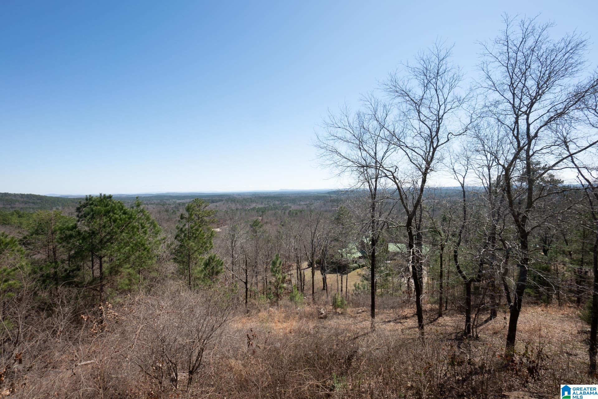 1840 Signal Valley Trail Chelsea, AL 35043 - Photo 2 of 49