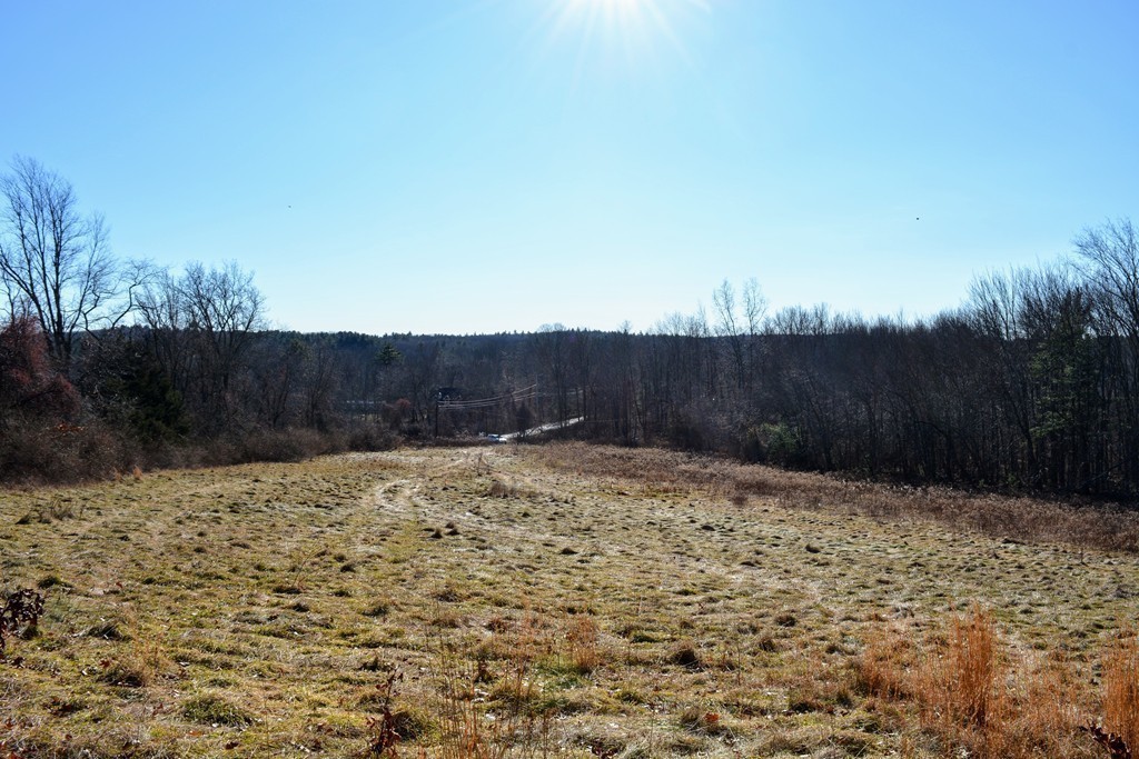 137 Dodge Hill Road Sutton, MA 01590 - Photo 3 of 16