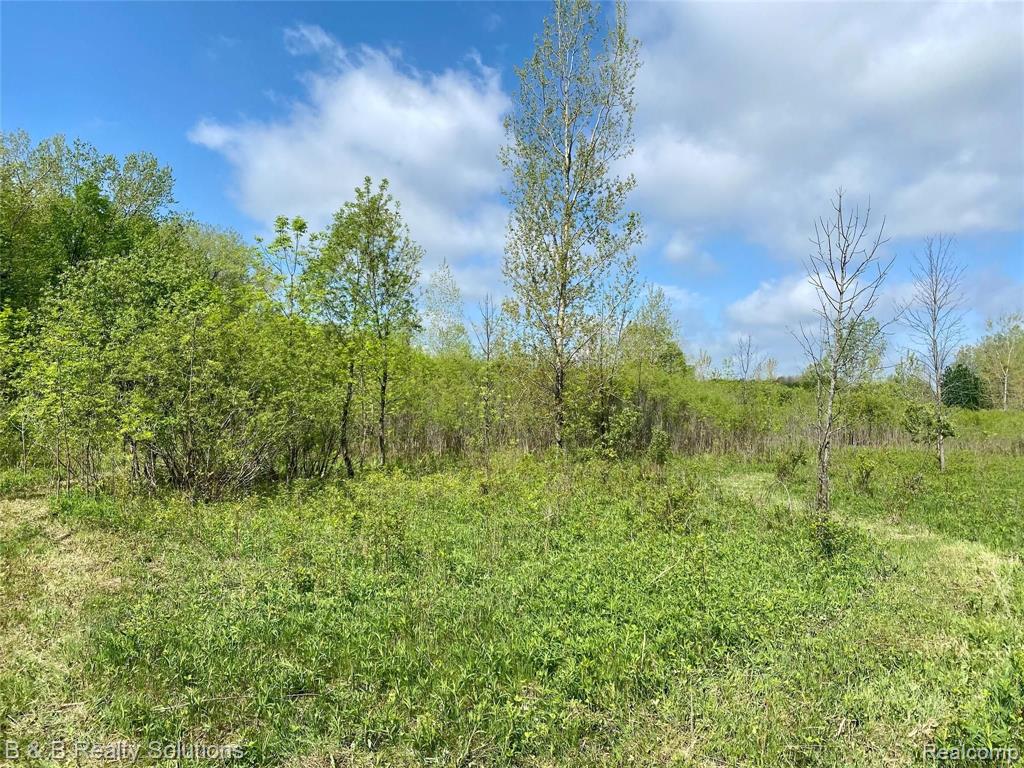 0 O Brien Road Mayville, MI 48744 - Photo 10 of 22