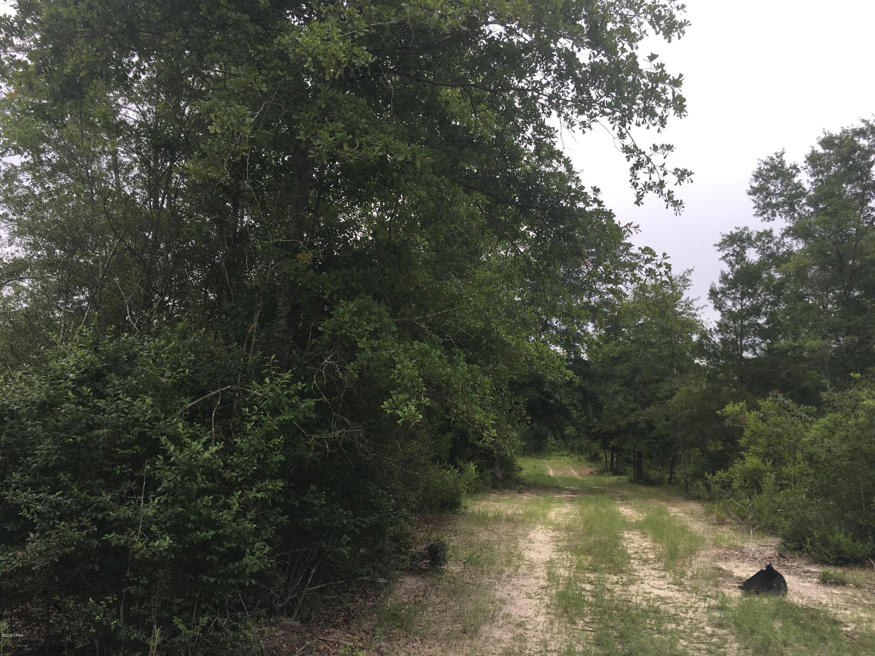 0 Church Road Grand Ridge, FL 32442 - Photo 9 of 12 Gallery Image 9