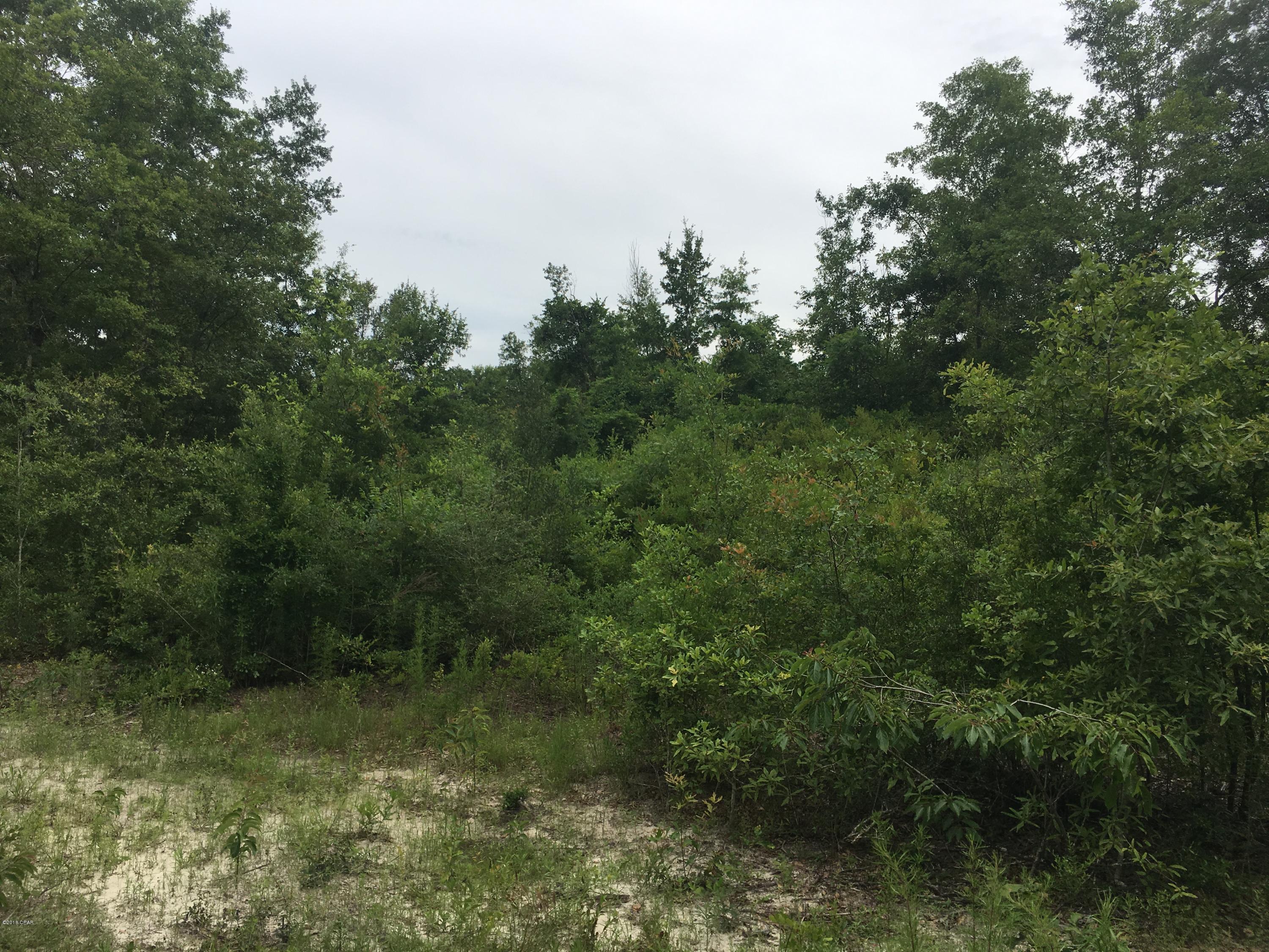 0 Church Road Grand Ridge, FL 32442 - Photo 10 of 12 Gallery Image 10