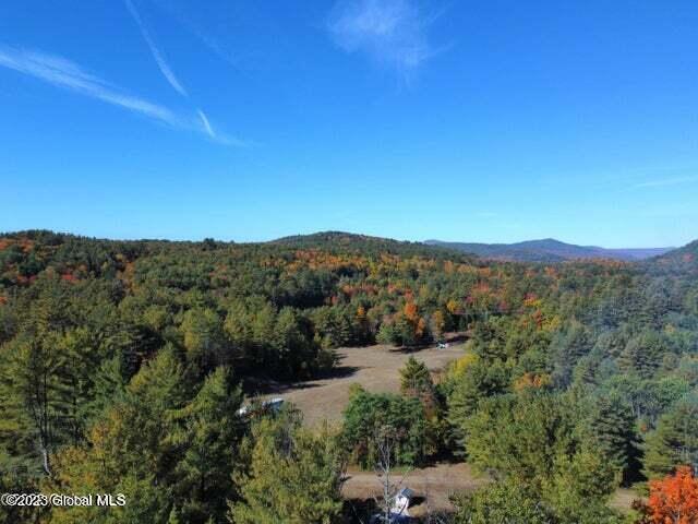 162 Potash Road Lake Luzerne, NY 12846 - Photo 11 of 71 20230201154608672488000000-o