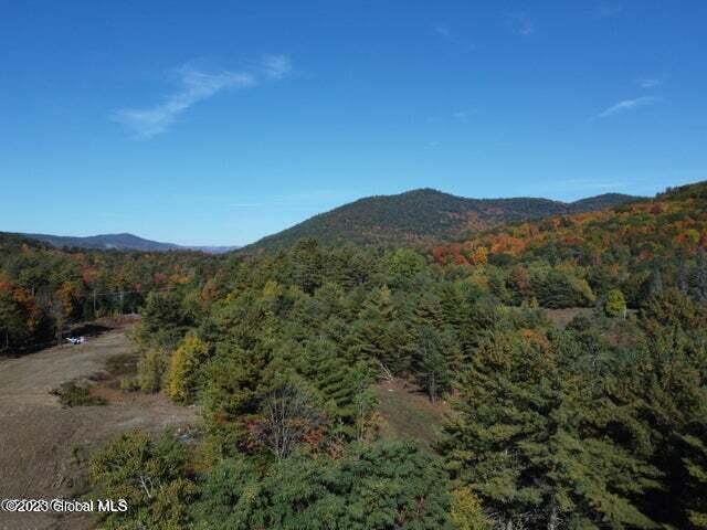 162 Potash Road Lake Luzerne, NY 12846 - Photo 6 of 71 20230201154608296742000000-o