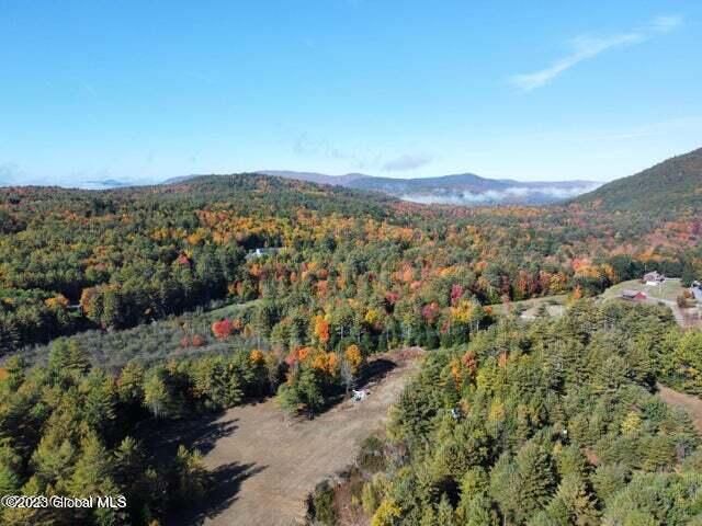 162 Potash Road Lake Luzerne, NY 12846 - Photo 7 of 71 20230201154608360876000000-o