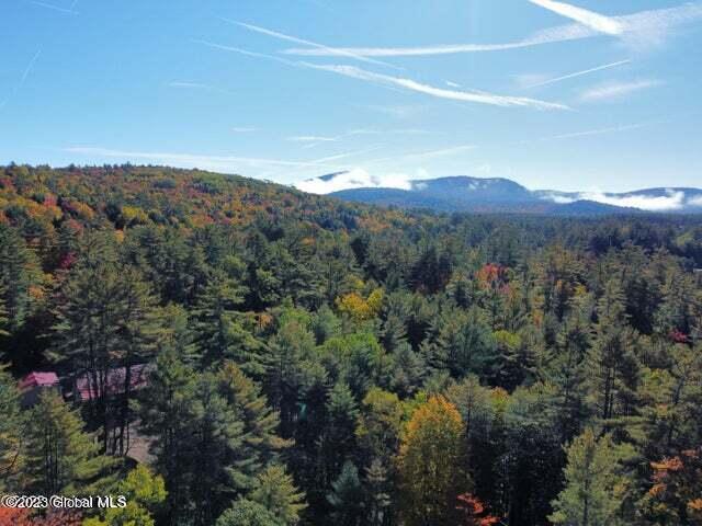 162 Potash Road Lake Luzerne, NY 12846 - Photo 10 of 71 20230201154608610567000000-o