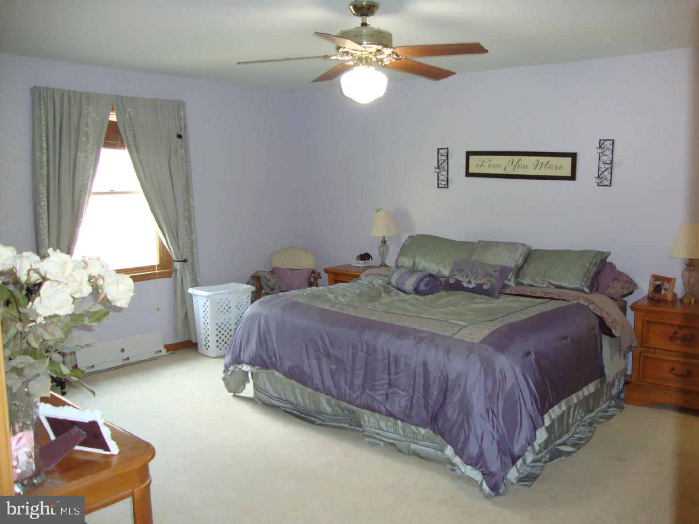 6824 Carpenter Bridge Road Frederica, DE 19946 - Photo 15 of 25 Gallery Image 15