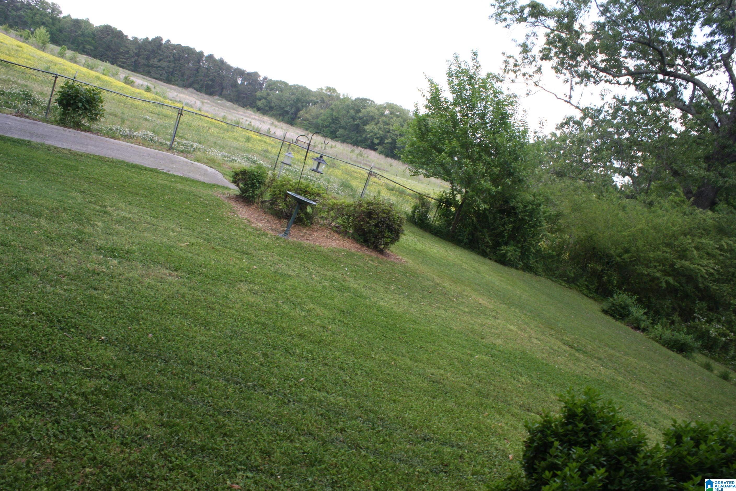 6083 Tommy Town Road Mount Olive, AL 35117 - Photo 6 of 45