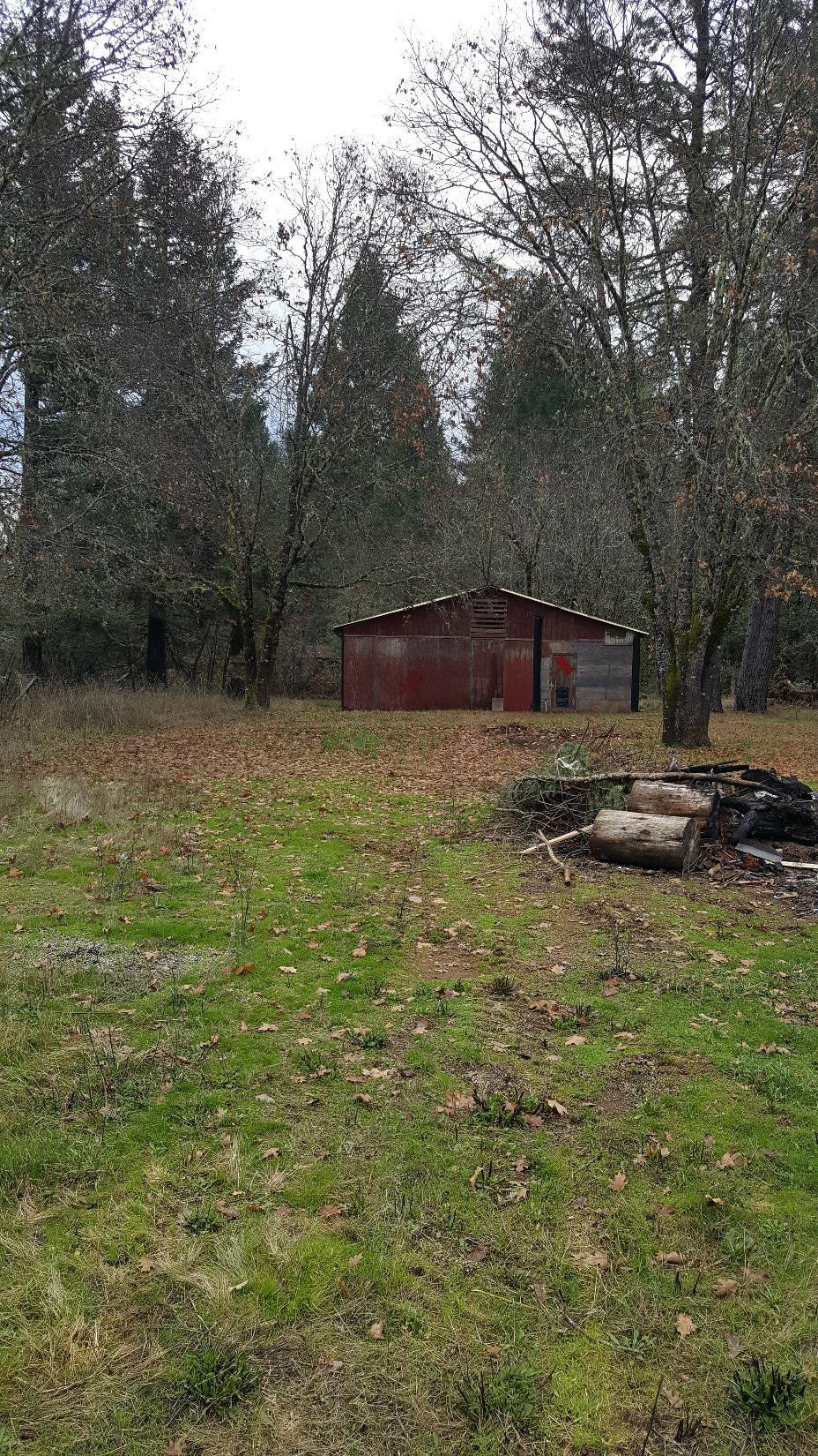 3421 Rockydale Road Cave Junction, OR 97523 - Photo 9 of 10 a view of backyard with tree